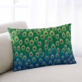 thumbnail image 1 of Peacock Feathers Throw Pillow Covers, Ombre Blue Green Modern Animals Printed Soft Breathable Pillow Cases with Invisible Zipper, King Size Pillowcases for Couch Bed Sofa Chair 20x36 Inches, 1 of 9