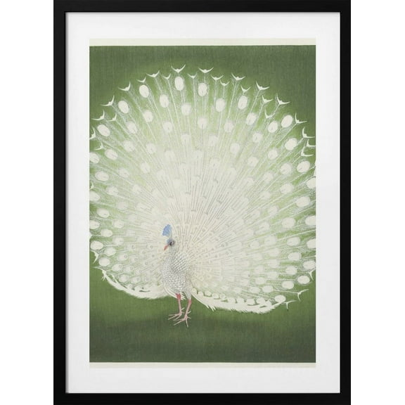Peacock Framed Art Modern Wall Decor