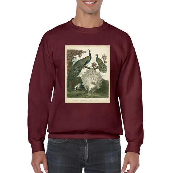 Peacock Gathering Sweatshirt Men -Sydenham Edwards Designs, Male 3X-Large