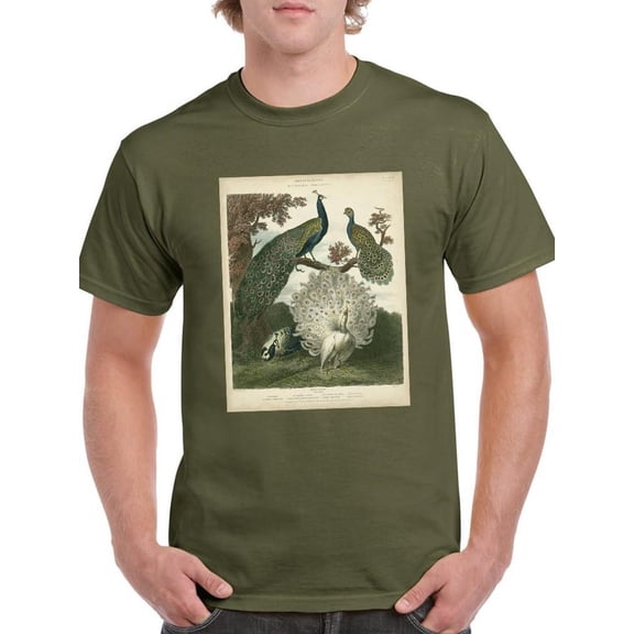 Peacock Gathering T-Shirt Men -Sydenham Edwards Designs, Male 5X-Large