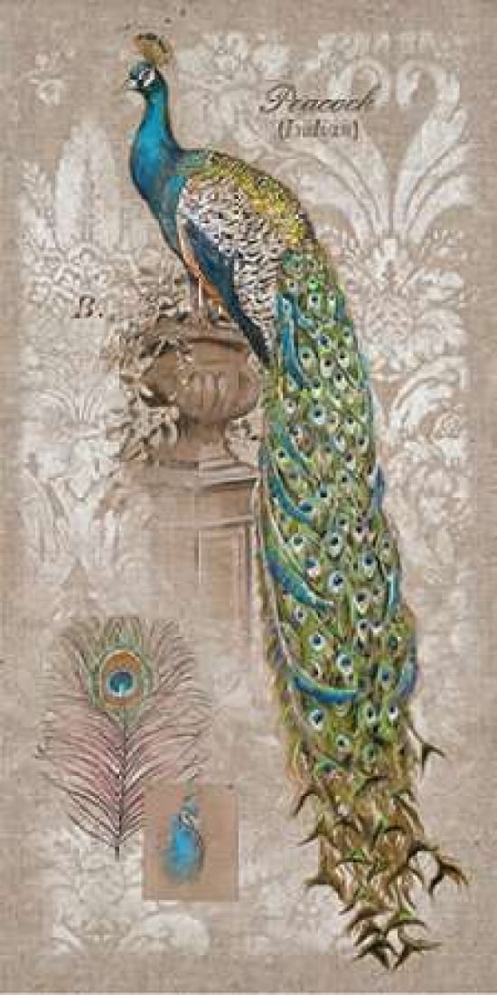 Peacock Linen 2 Canvas Art - Chad Barrett (24 x 48)