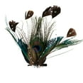 thumbnail image 1 of Peacock Ocelli Feather Clip-On Christmas Ornament -6" - Brown Green and Blue, 1 of 9