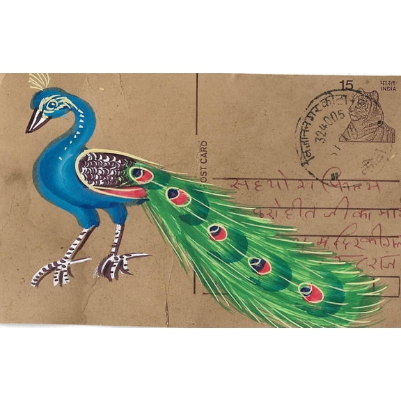Peacock Painting on Vintage Postcard Front