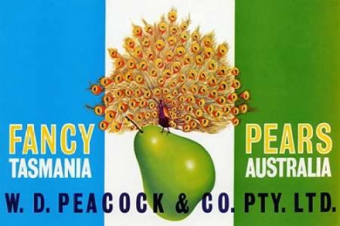 Peacock Pears Canvas Art - Retrolabel (12 x 18)