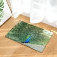 thumbnail image 1 of Peacock Print Hallway Entrance Doormat Living Room Rectangle Carpet Absorbent Kitchen Rugs Home Decor Bathroom Anti Slip Mat, 1 of 6