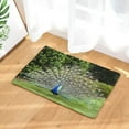 thumbnail image 1 of Peacock Print Hallway Entrance Doormat Living Room Rectangle Carpet Absorbent Kitchen Rugs Home Decor Bathroom Anti Slip Mat, 1 of 6