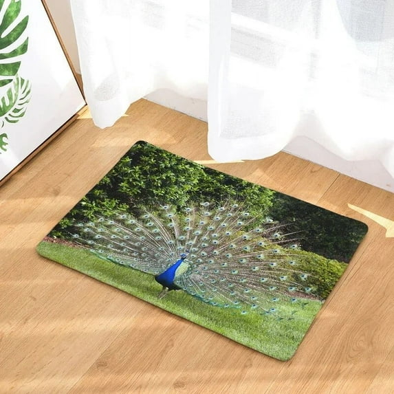 Peacock Print Hallway Entrance Doormat Living Room Rectangle Carpet Absorbent Kitchen Rugs Home Decor Bathroom Anti Slip Mat