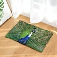 thumbnail image 1 of Peacock Print Hallway Entrance Doormat Living Room Rectangle Carpet Absorbent Kitchen Rugs Home Decor Bathroom Anti Slip Mat, 1 of 6