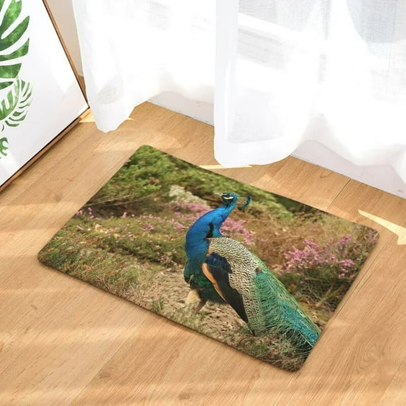 Peacock Print Hallway Entrance Doormat Living Room Rectangle Carpet Absorbent Kitchen Rugs Home Decor Bathroom Anti Slip Mat