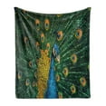 thumbnail image 1 of Peacock Soft Flannel Fleece Blanket, Portrait of the Peacock Courtship Display Eye Spotted Tail Tropics Natural, Cozy Plush for Indoor and Outdoor Use, 60" x 80", Orange Blue Green, by Ambesonne, 1 of 5