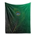 thumbnail image 1 of Peacock Soft Flannel Fleece Throw Blanket, Peacock Feather Illustration in Simplistic Style Wild Nature Life Print, Cozy Plush for Indoor and Outdoor Use, 70" x 90", Green Blue, by Ambesonne, 1 of 5