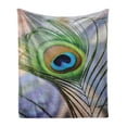 thumbnail image 1 of Peacock Soft Flannel Fleece Throw Blanket, Trees Birds and Feather Wildlife Colorful Tropical Animals Blurred Print Nature, Cozy Plush for Indoor and Outdoor Use, 50" x 60", Multicolor, by Ambesonne, 1 of 6