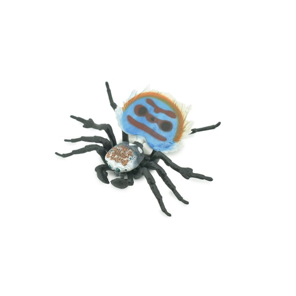 Peacock Spider, Jumping Spiders, Maratus, Museum Quality, Hand Painted, Realistic, Rubber, Insect, Figure, Model, Toy, Kids, Educational, Gift 4 1/2" CH300 BB181