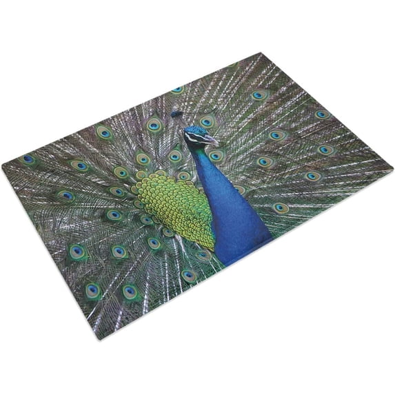 Peacock Spreads The Tail Beatiful Animal Bath Mats for Bathroom Non-Slip Absorbent Soft Plush Doormat Rugs Decor Floor Mat 18x30 in
