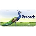thumbnail image 1 of Peacock TAG09 Novelty Car Auto License Plate, 1 of 2