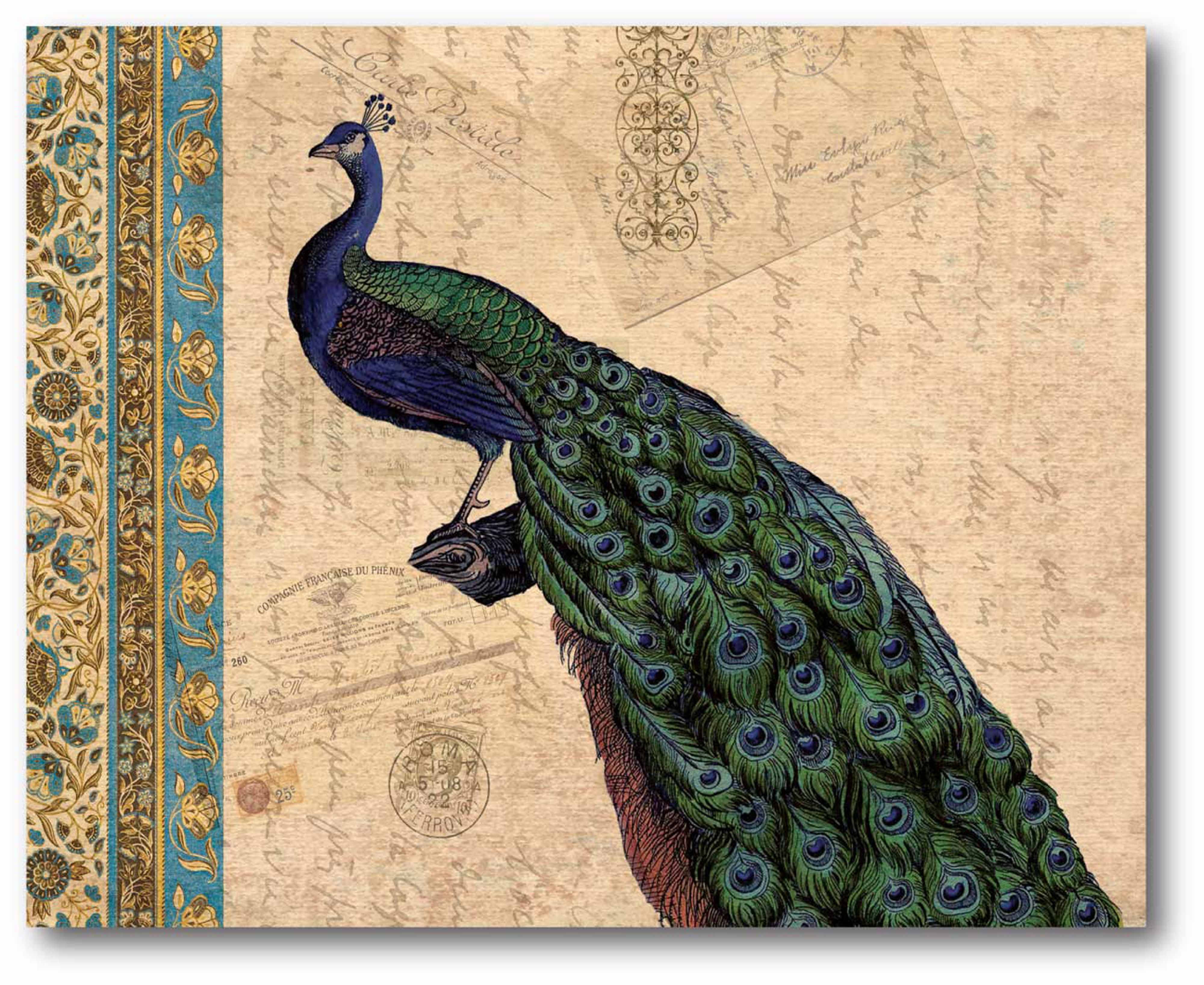 Peacock Tan Tapestry I Gallery-Wrapped Canvas Wall Art, 16x20