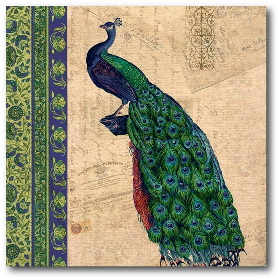 Peacock Tan Tapestry III Gallery-Wrapped Canvas Wall Art, 16x16