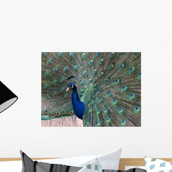 Peacock Wall Mural Decal Sticker, Wallmonkeys Peel & Stick Vinyl Graphic (18 in W x 13 in H