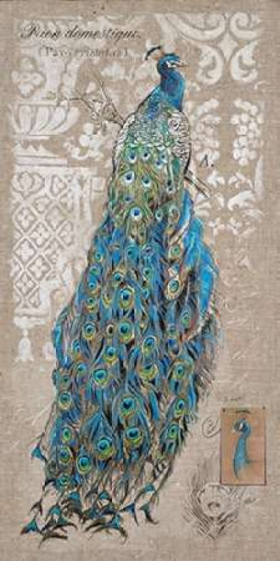 Peacock on Linen 1 Canvas Art - Chad Barrett (24 x 48)