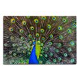 thumbnail image 1 of Peacock, 1 of 4