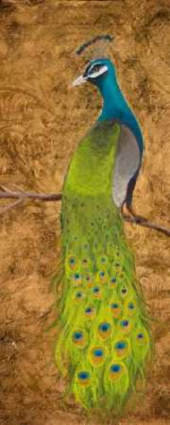 Peacocks I Canvas Art - Josefina (24 x 48)
