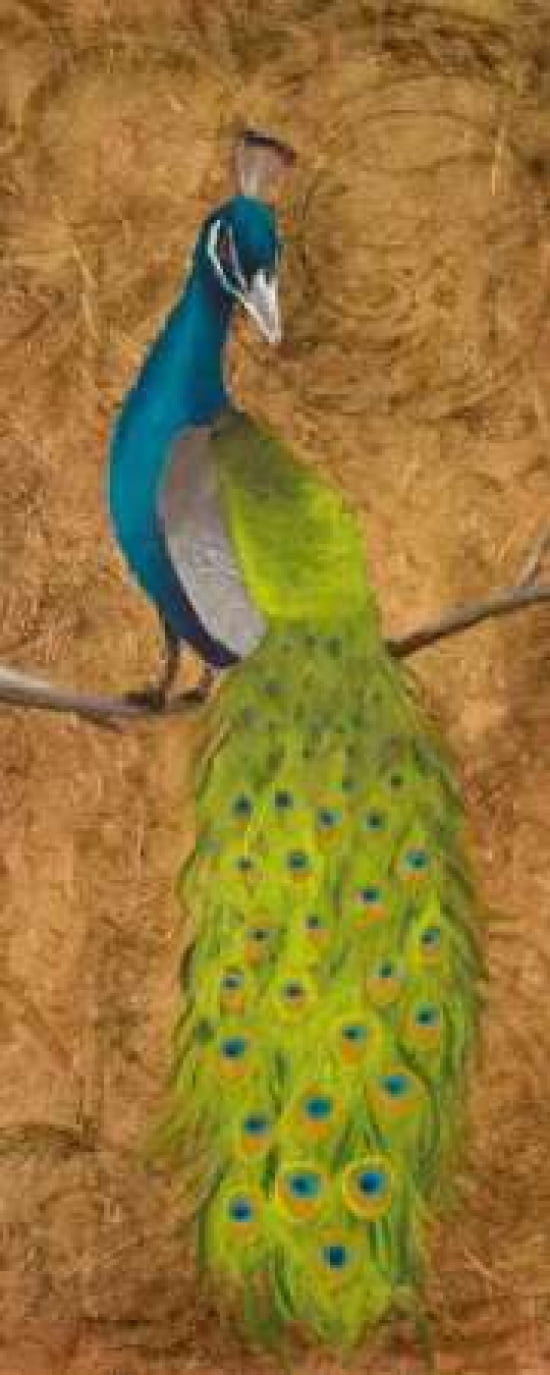 Peacocks II Canvas Art - Josefina (24 x 48)