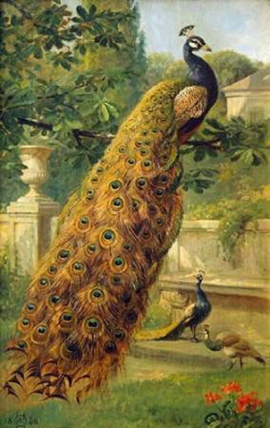 Peacocks In The Park Canvas Art - Olaf August Hermansen (24 x 36)