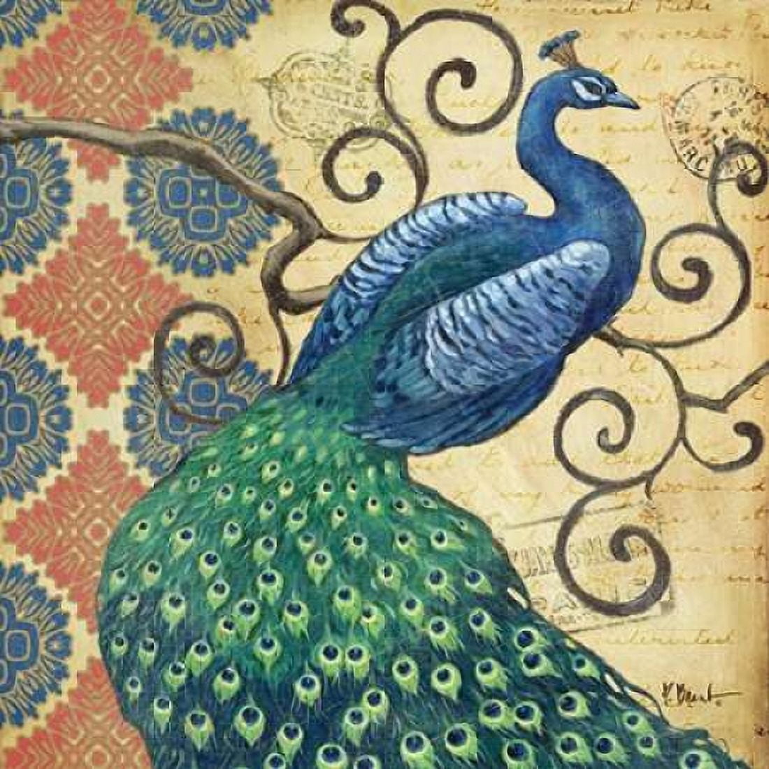 Peacocks Splendor I Canvas Art - Paul Brent (24 x 24)