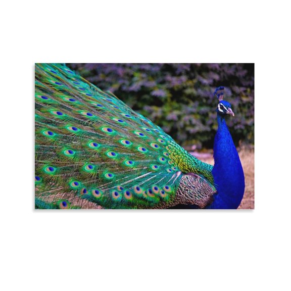 Peafowl Feather Canvas Art Poster And Wall Art Picture Print Modern Family Bedroom Decor Posters,Unframe-style,08x12inch(20x30cm)