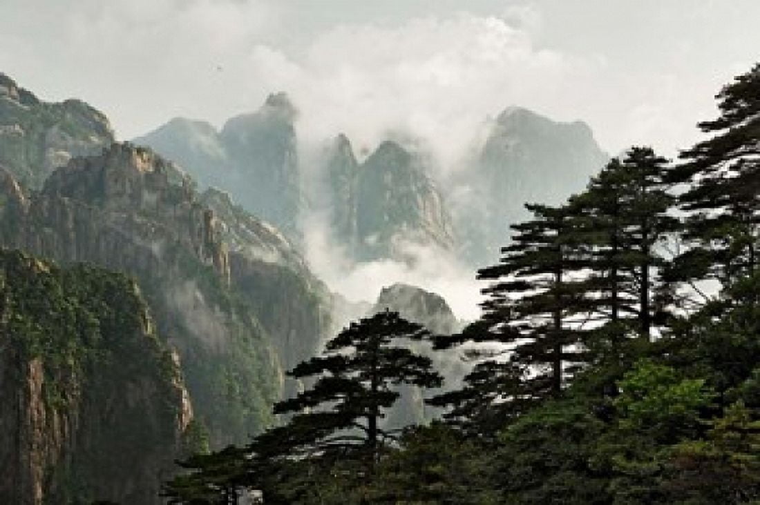 Peaks and Valleys of Grand Canyon in the mist Mt Huang Shan China Canvas Art - Adam Jones DanitaDelimont (35 x 23)