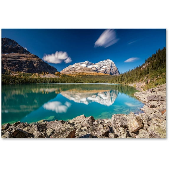 Peanut Massage Ball Set Lacrosse Ball EPP Fascia Therapy Muscle Ball for Myofascial Release Muscle Relaxer Acupoint Massage