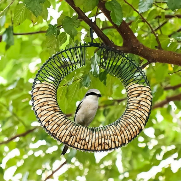 Peanut Wreath Bird Feeder 16 Inch, Rust & Waterproof Solid Steel DurableWhole Wild with Hanging Hook