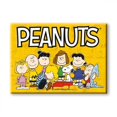 thumbnail image 1 of Peanuts 829450 Cast Magnet, Yellow, 1 of 1