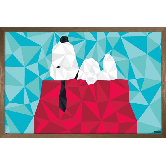 Peanuts: Astronomy-Geometry - Snoopy Wall Poster, 22.375" x 34" Framed