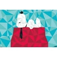 thumbnail image 1 of Peanuts: Astronomy-Geometry - Snoopy Wall Poster, 22.375" x 34", 1 of 4
