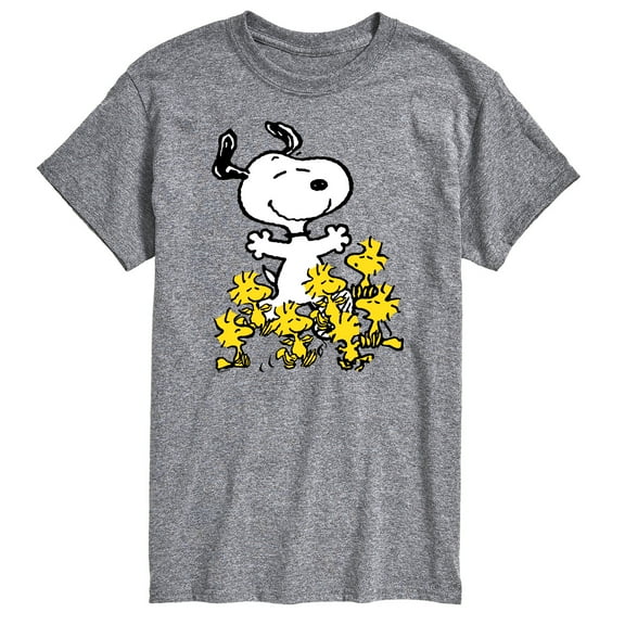 Peanuts - Best of Snoopy And Woodstock - Men's Short Sleeve Graphic T-Shirts