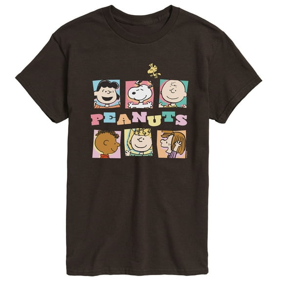 Peanuts - Boxes Snoopy And Friends - Men's Short Sleeve Graphic T-Shirt