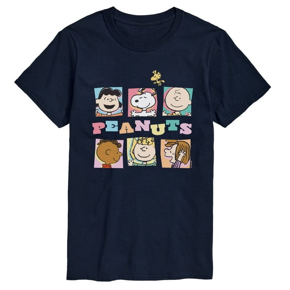 Peanuts - Character Boxes - Men's Short Sleeve Graphic T-Shirt