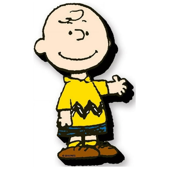 Peanuts Charlie Brown Funky Chunky Magnet