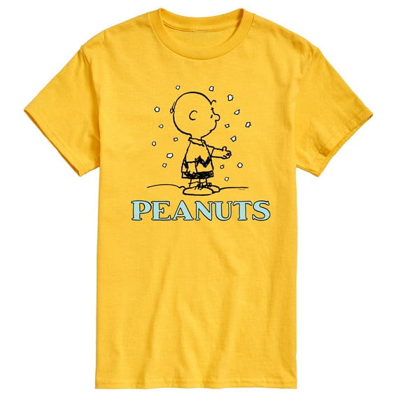 Peanuts - Charlie Snow - Men's Short Sleeve Graphic T-Shirt
