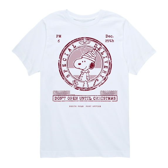 Peanuts - Christmas - Don't Open Until Christmas - Toddler & Youth Short Sleeve Graphic T-Shirt