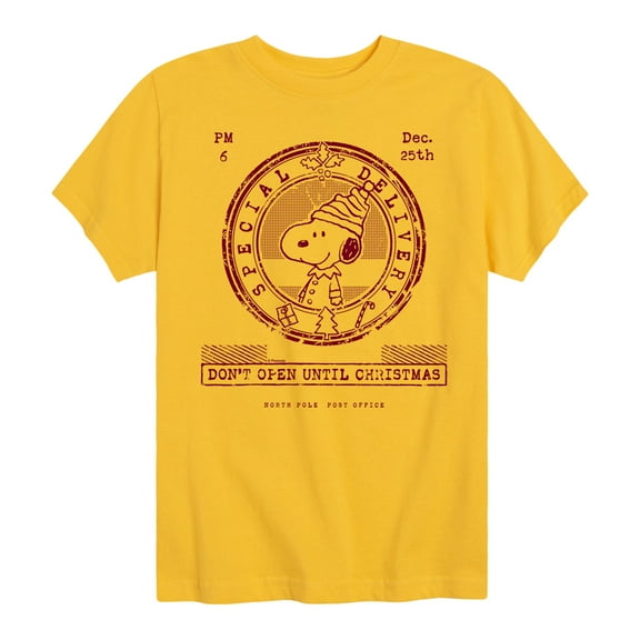 Peanuts - Christmas - Don't Open Until Christmas - Toddler & Youth Short Sleeve Graphic T-Shirt