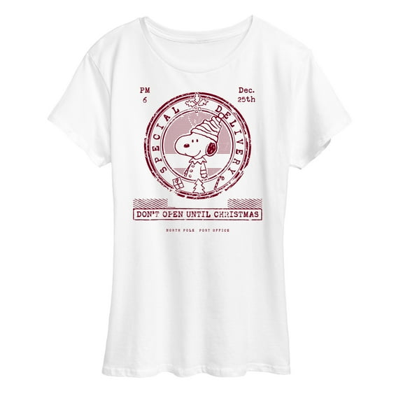 Peanuts - Christmas - Special Delivery Mail - Women's Short Sleeve Graphic T-Shirt