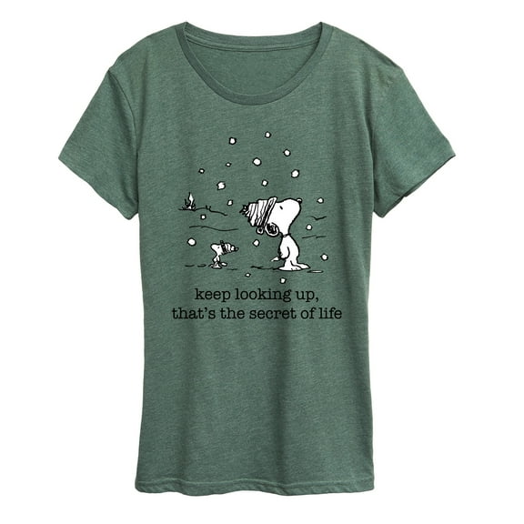 Peanuts - Dec Snoopy Woodstock Snowfall - Women's Short Sleeve Graphic T-Shirt