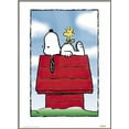 thumbnail image 1 of Peanuts - Framed TV Show Poster (Snoopy & Woodstock Chilling On Snoopy's House) (Size: 27" X 40") (Brushed Champagne Aluminum Frame), 1 of 6