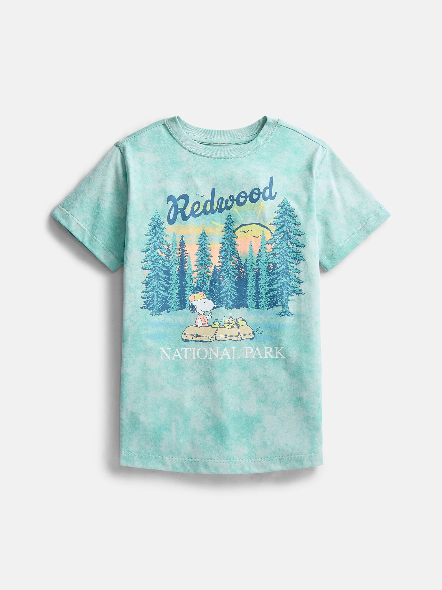 Peanuts Girls' Graphic Tee with Short Sleeves, Sizes 4-16