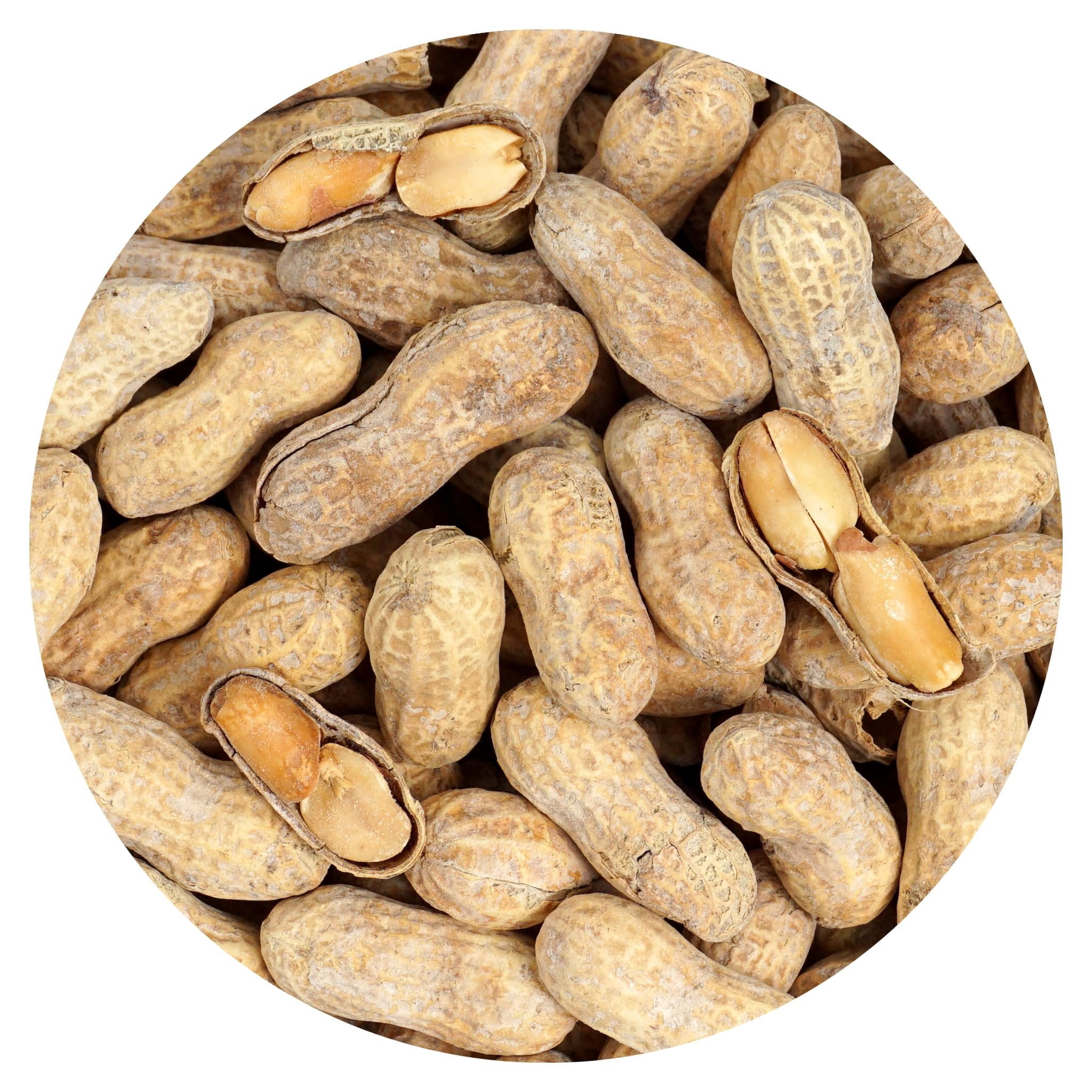 Peanuts In Shell Roasted and Salted, 10 Pound Bag, The Hampton Popcorn & Candy Company