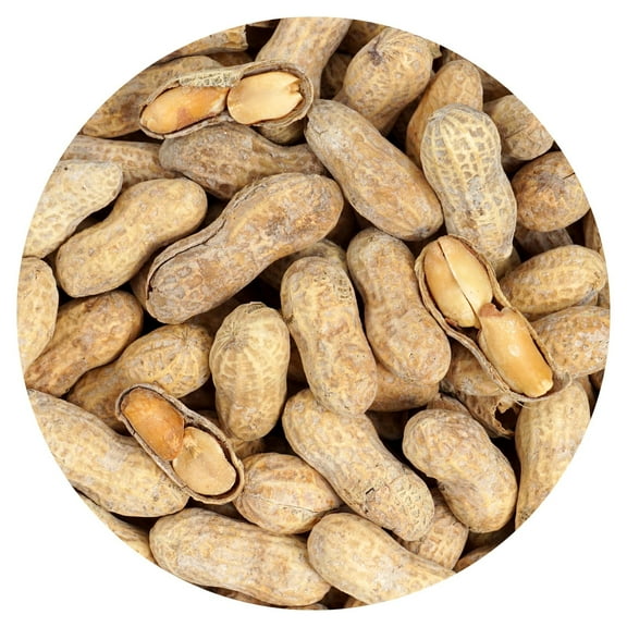 Peanuts In Shell Roasted and Salted, 10 Pound Bag, The Hampton Popcorn & Candy Company