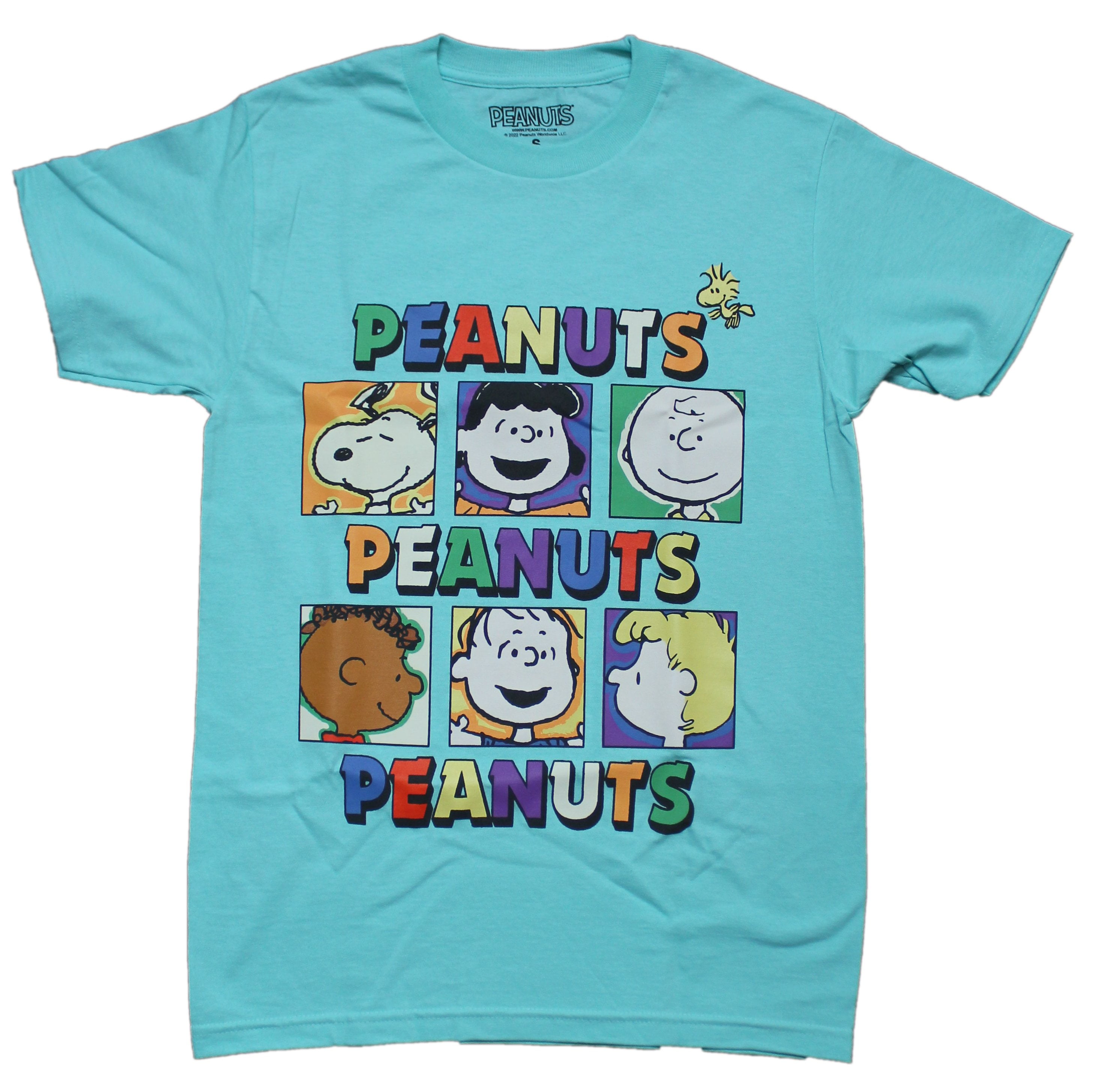 Peanuts Mens T-Shirt - Face Boxes Silly Logo Snoopy Charlie Brown  (2X-Large)