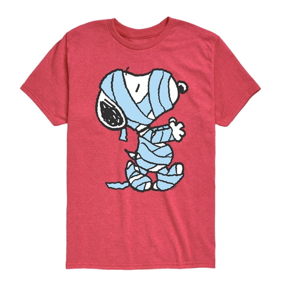 Peanuts - Mummified - Youth Boys Short Sleeve Graphic T-Shirt